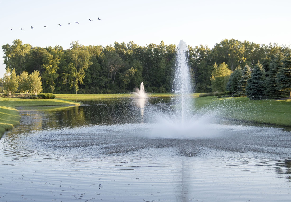 lago con fontana